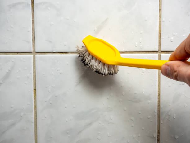 Best Toxic Mold Removal  in Holly Lake Ranch, TX